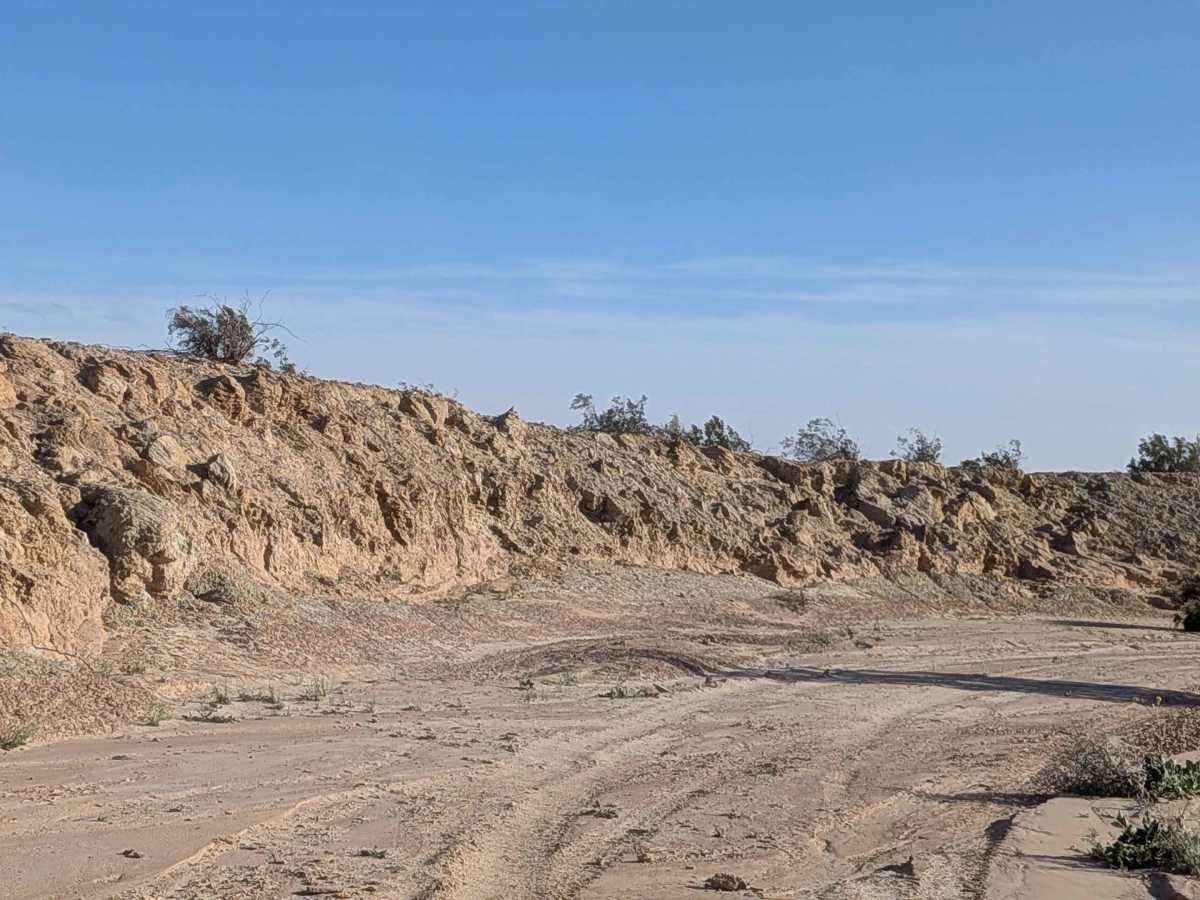 BLM 331 photo 6