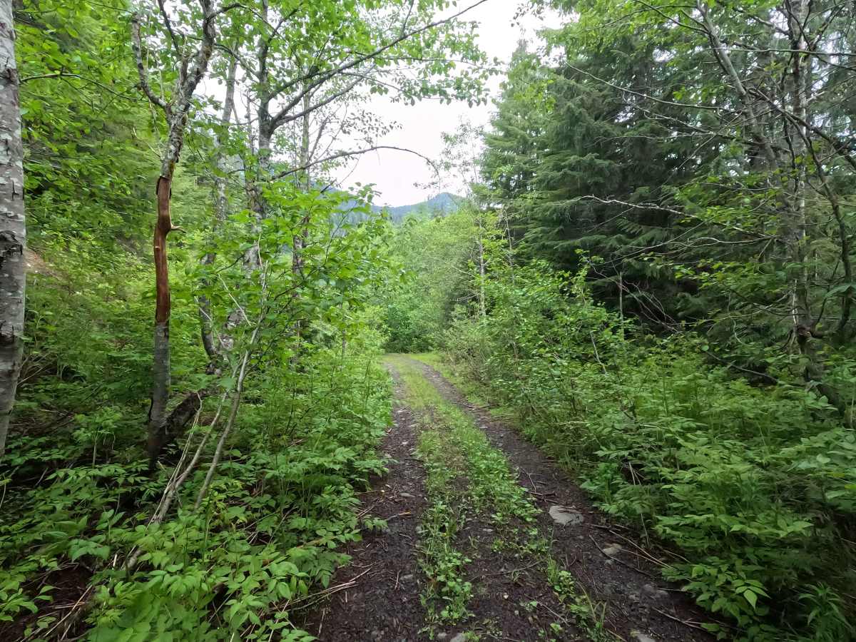 Hawkins Lake - FS 1840 photo 5