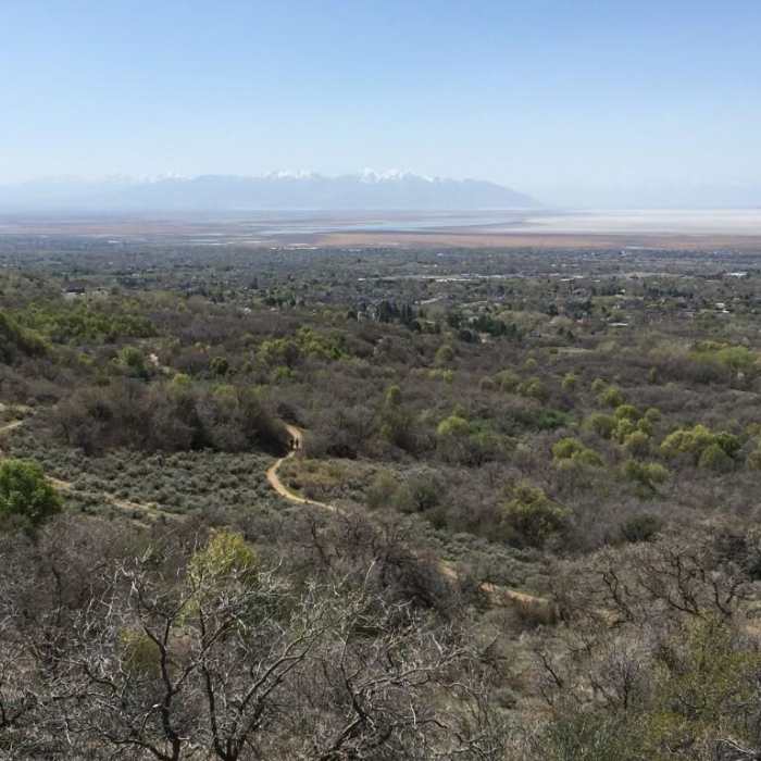 Near East Mountain Wilderness Park