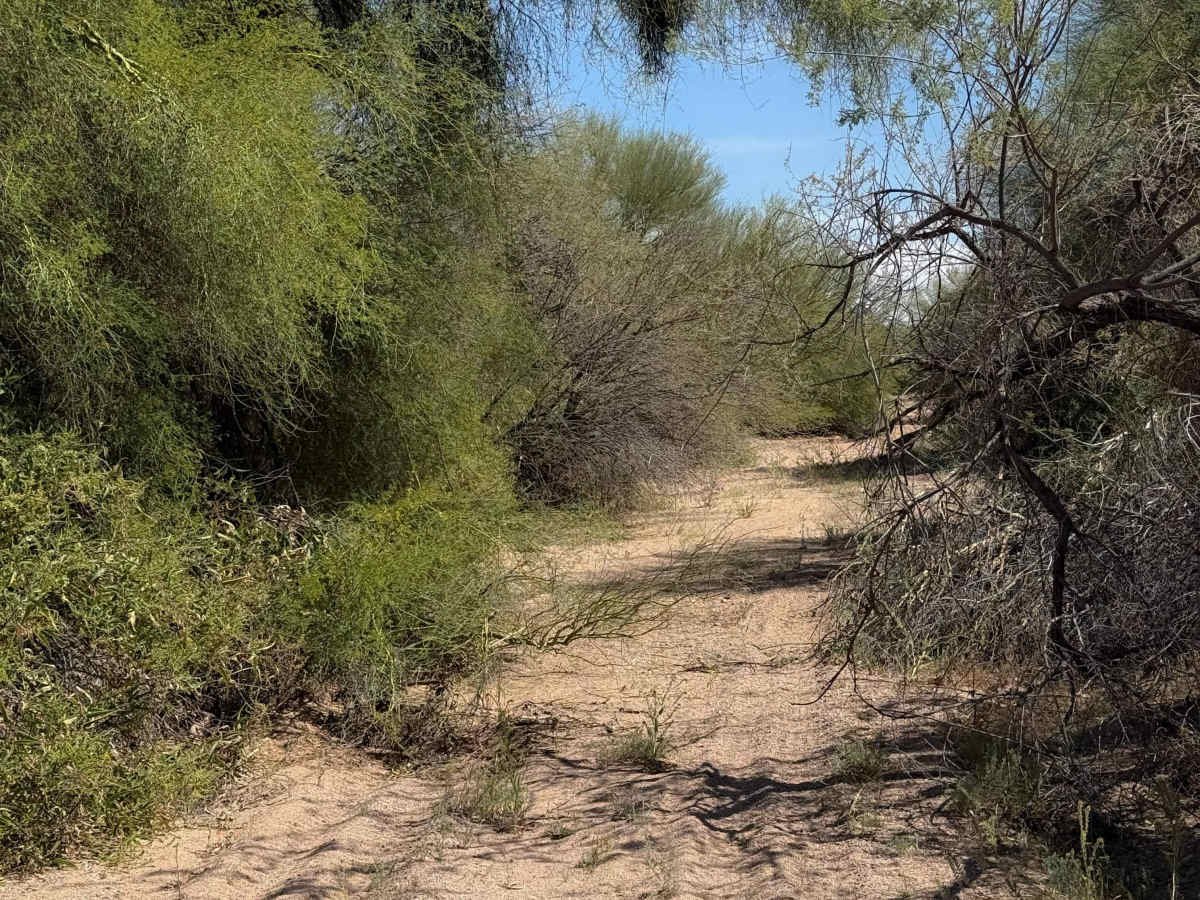 Bh1270 Wash  trail photo