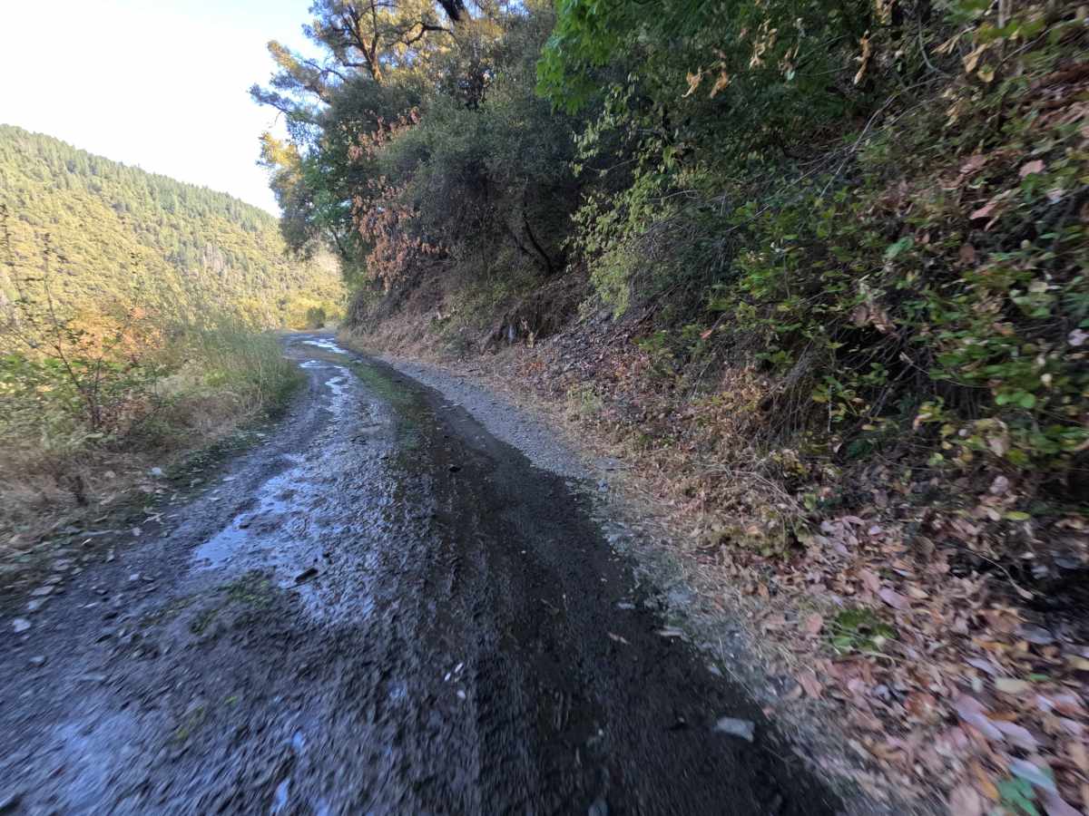 Tyler Foote Crossing Road trail photo