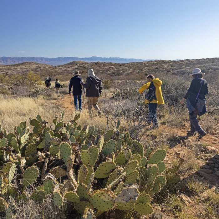 Near Wildlife Corridor Trail