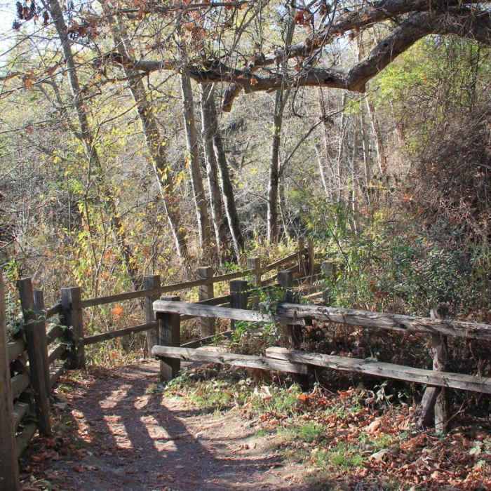 Near Headlands Trail Near Headlands Trail