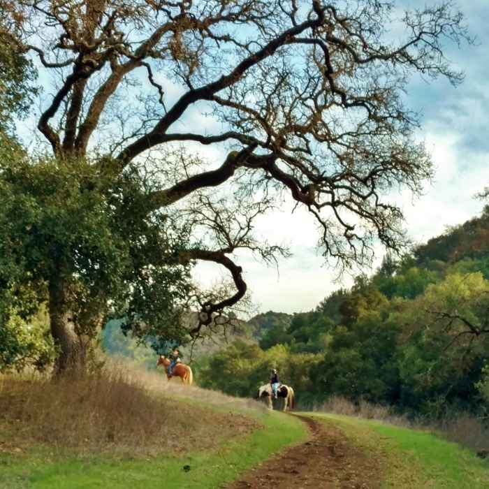 Near Figueroa Trail
