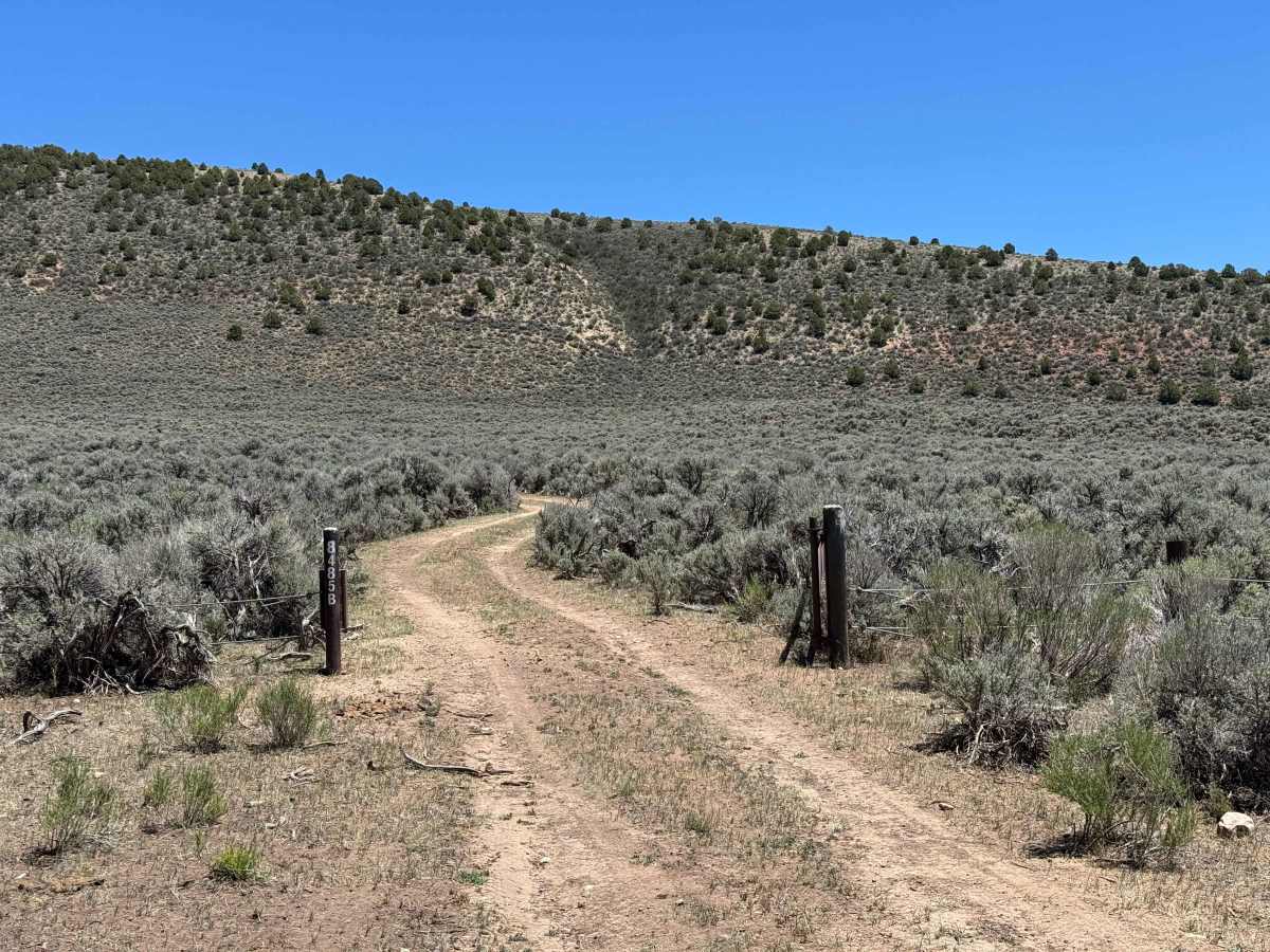 BLM 8485B photo 3