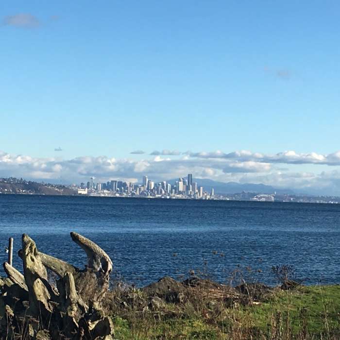 Near Cross Island Trail