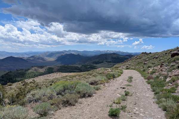 Leviathan Lookout - FS 31057
