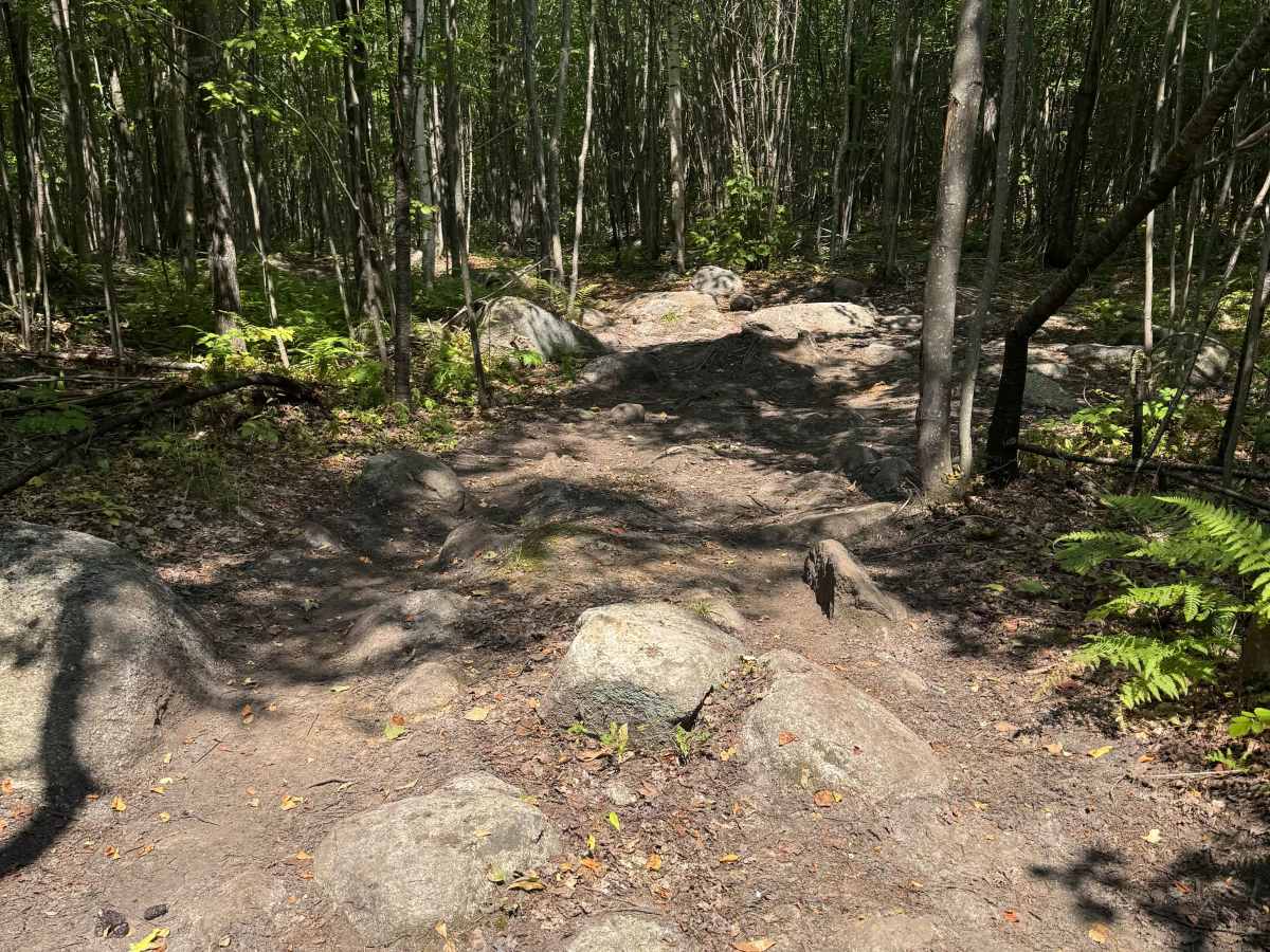Jericho Mountain 4x4 Truck & Jeep trail - Main Trail  trail photo