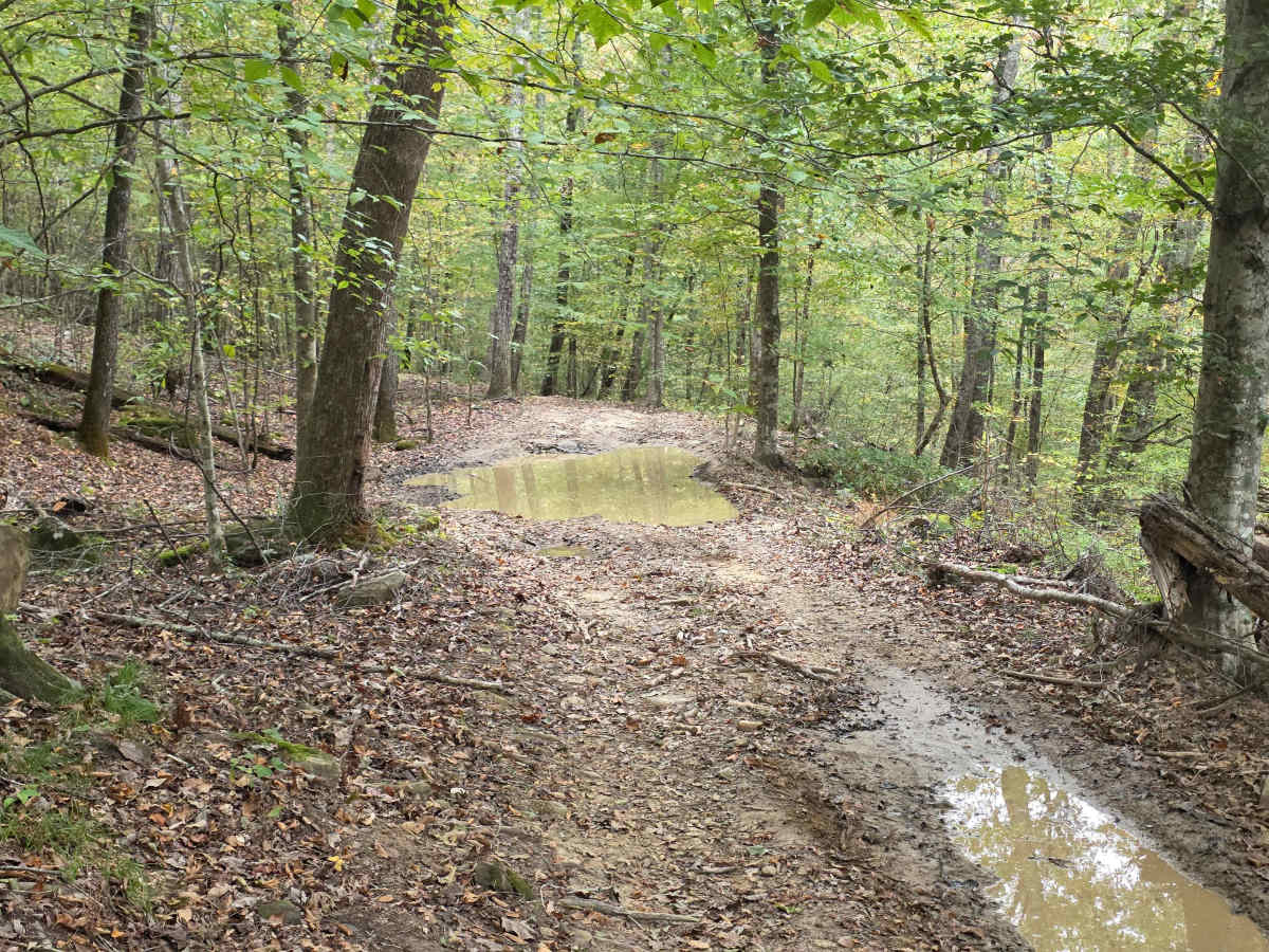 Pounder's Place photo 5