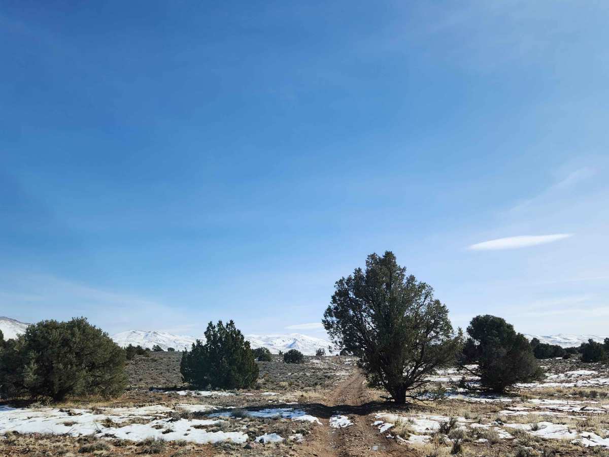 P-10 Trail photo 3
