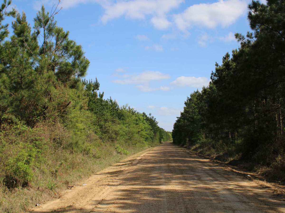 The Arkansas Overland Route - TrailHawk Loop - Section 21 - Haus SP photo 3