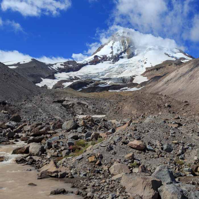Near Timberline Trail