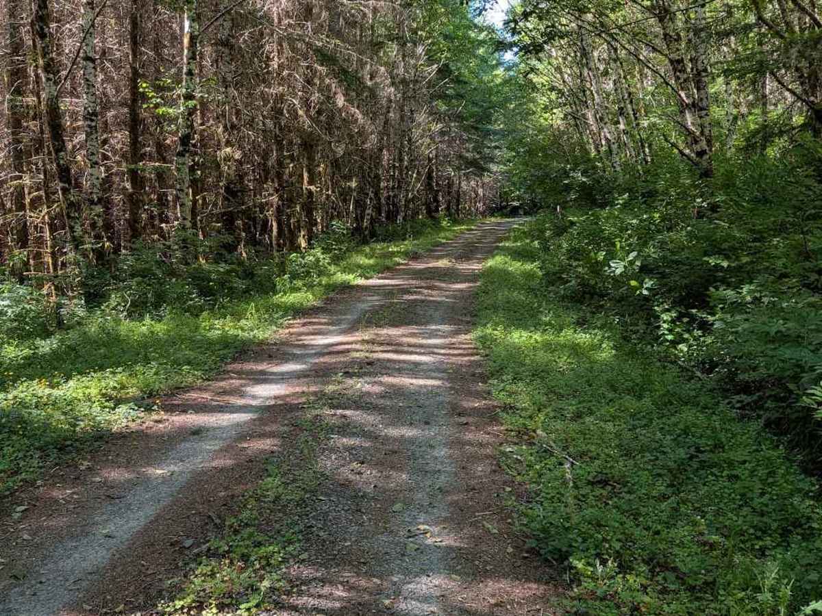 Lake Creek Rd - FS 3210 photo 5