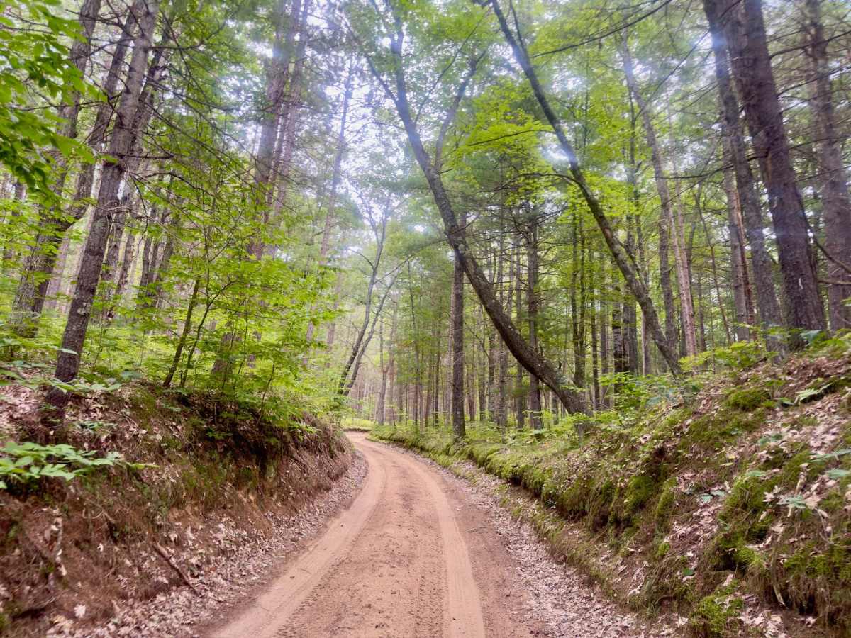 North Slagle Creek Road photo 6