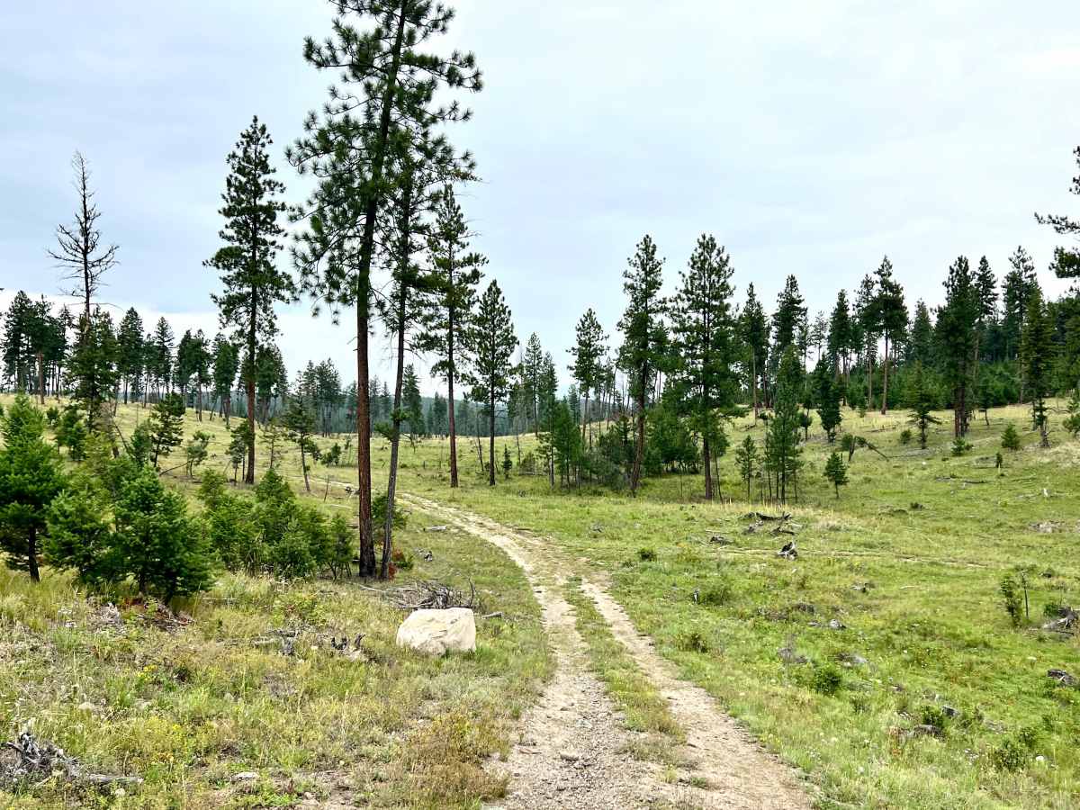 Grassy Meadows photo 6