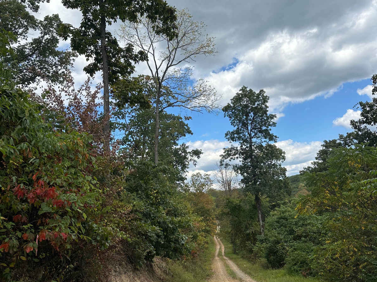 Big Mountain Trail trail photo