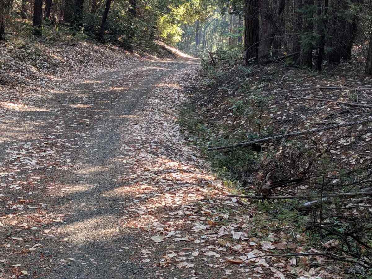 Round Knob Road - FS 5N27 photo 5