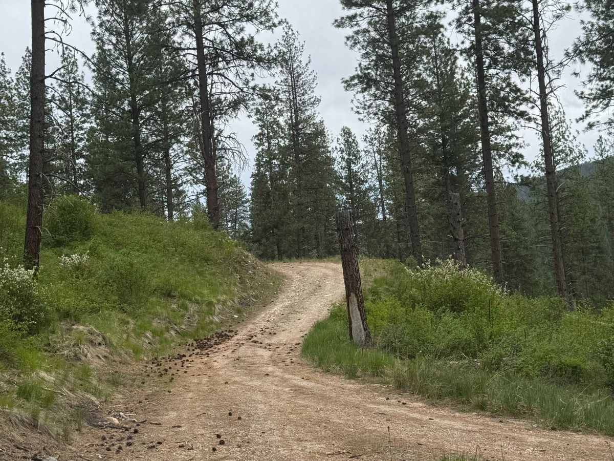 Powerline Road - FS 2000-092 trail photo