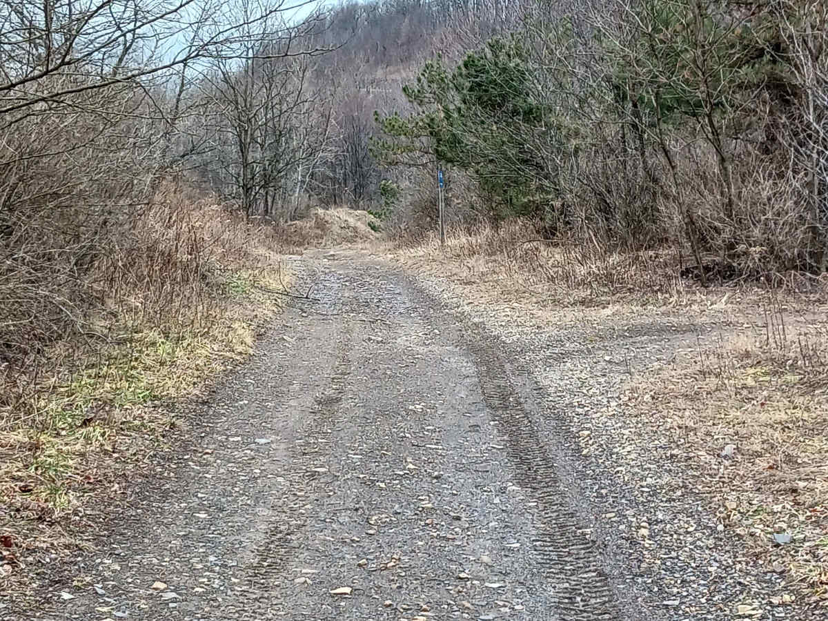 Trail 5E - Rock Run Recreation Area photo 6