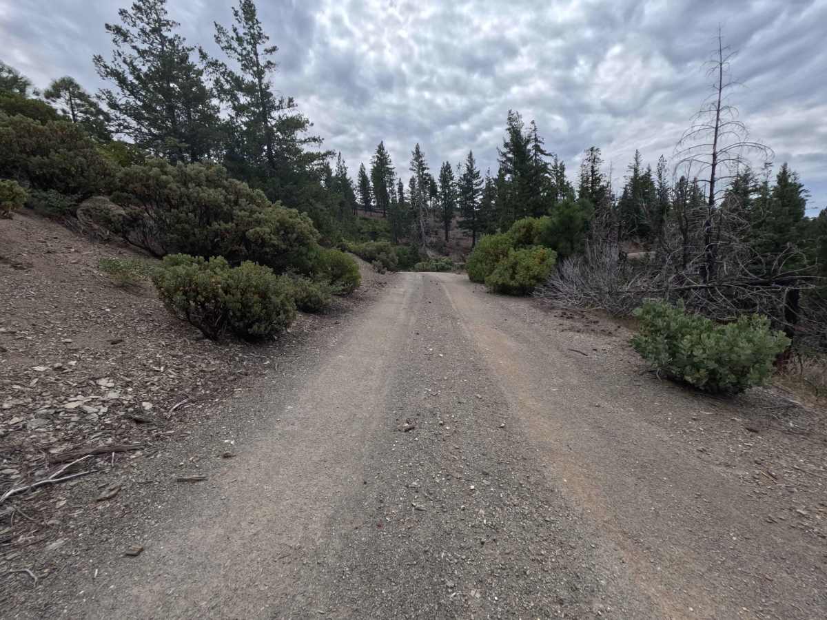 Lower Jumbo Springs - FS 20N63 photo 4