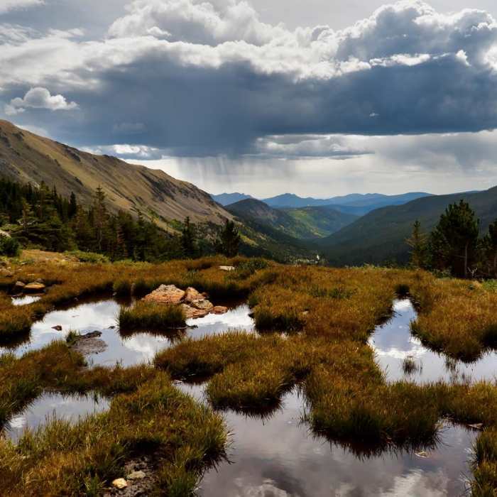 Near Neva Backcountry Zone