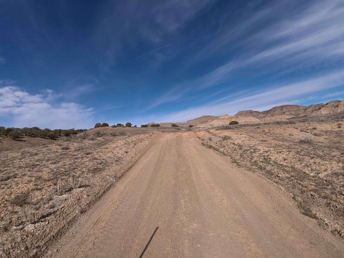 BLM 124 photo 2