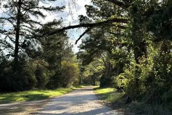 County Road 2729
