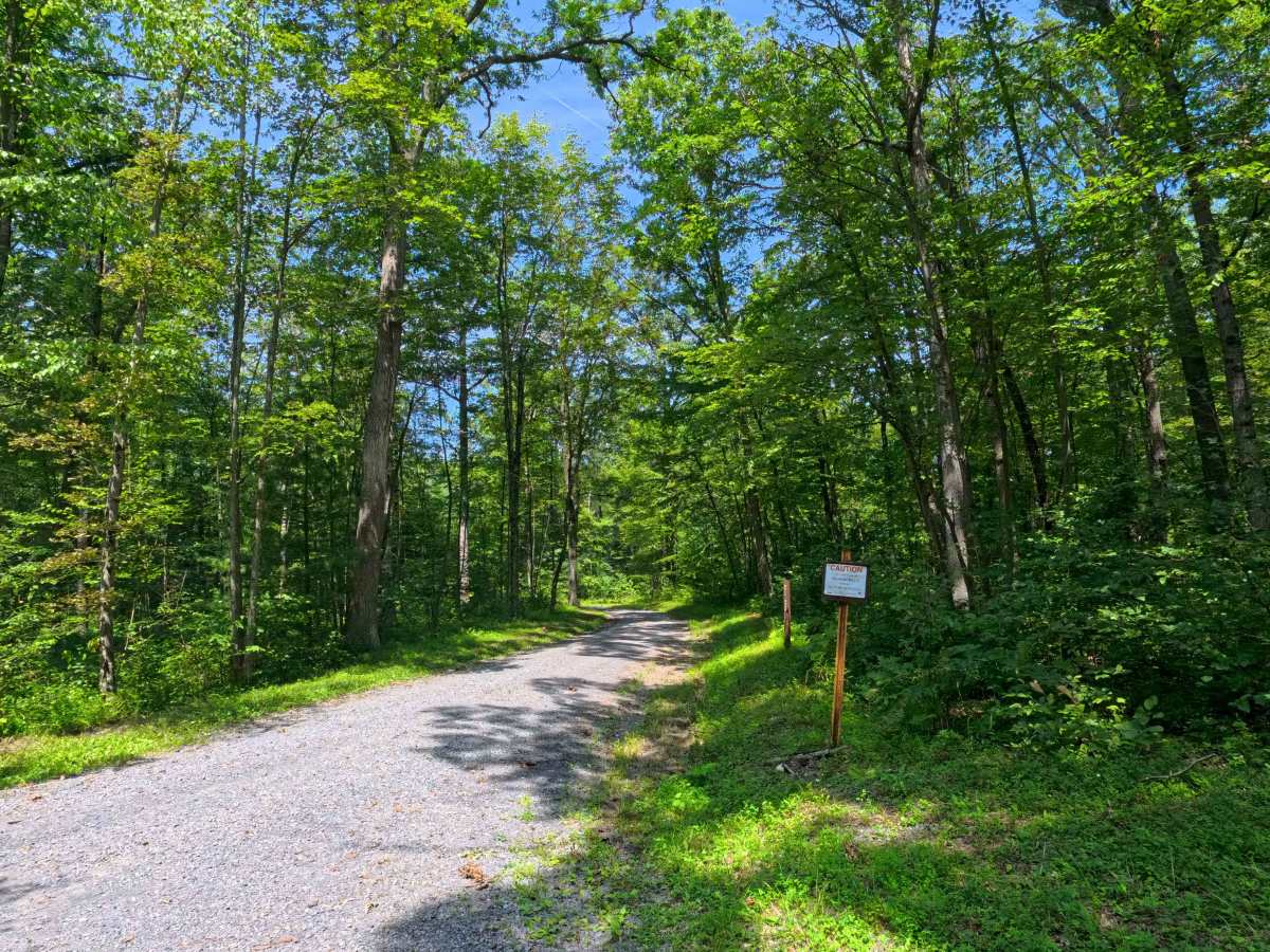 Mule Road photo 4