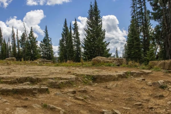 Blair Mountain - FR601
