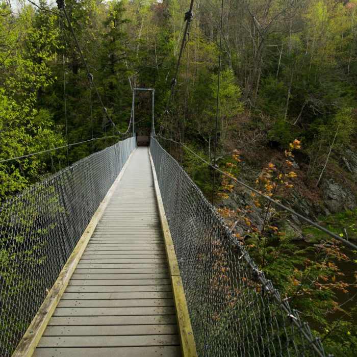 Near Prospect Rock Near Prospect Rock