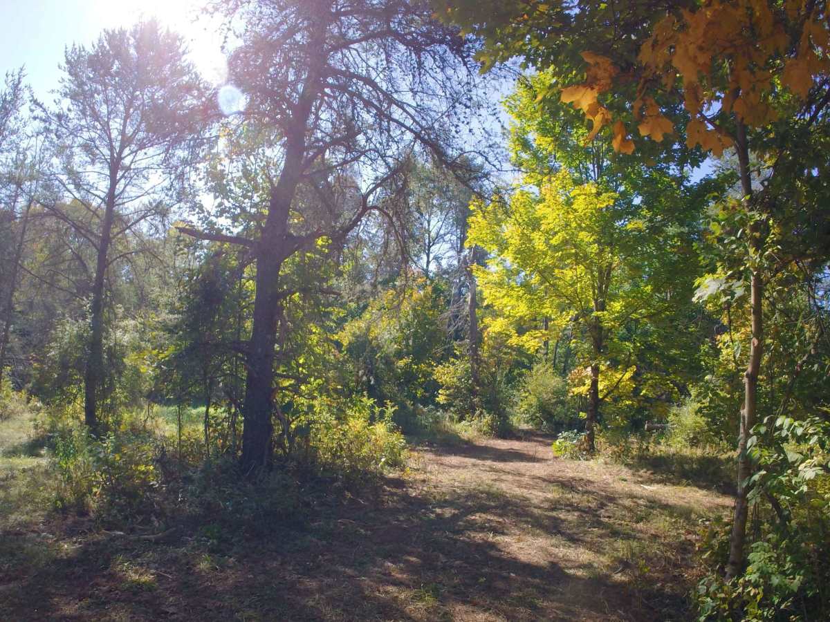 St. Lawrence County Multi-Use Trail - Southern Section photo 2