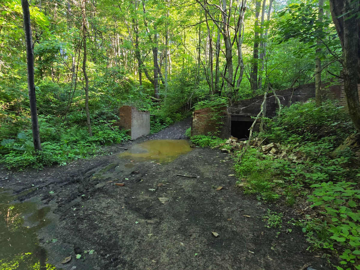 Single Track C2 trail photo