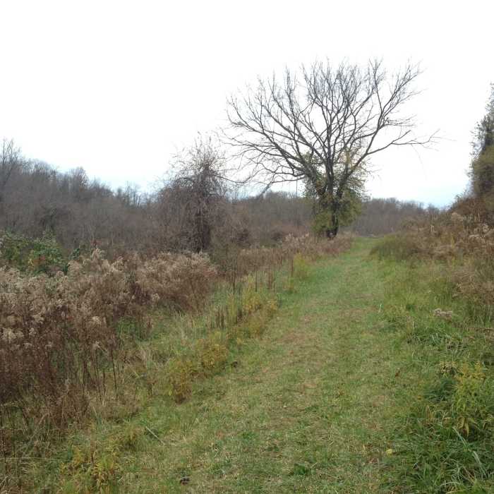 Near North Hills Trail (Eastern Portion)