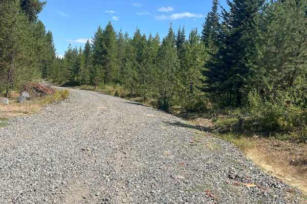 New Logging Road