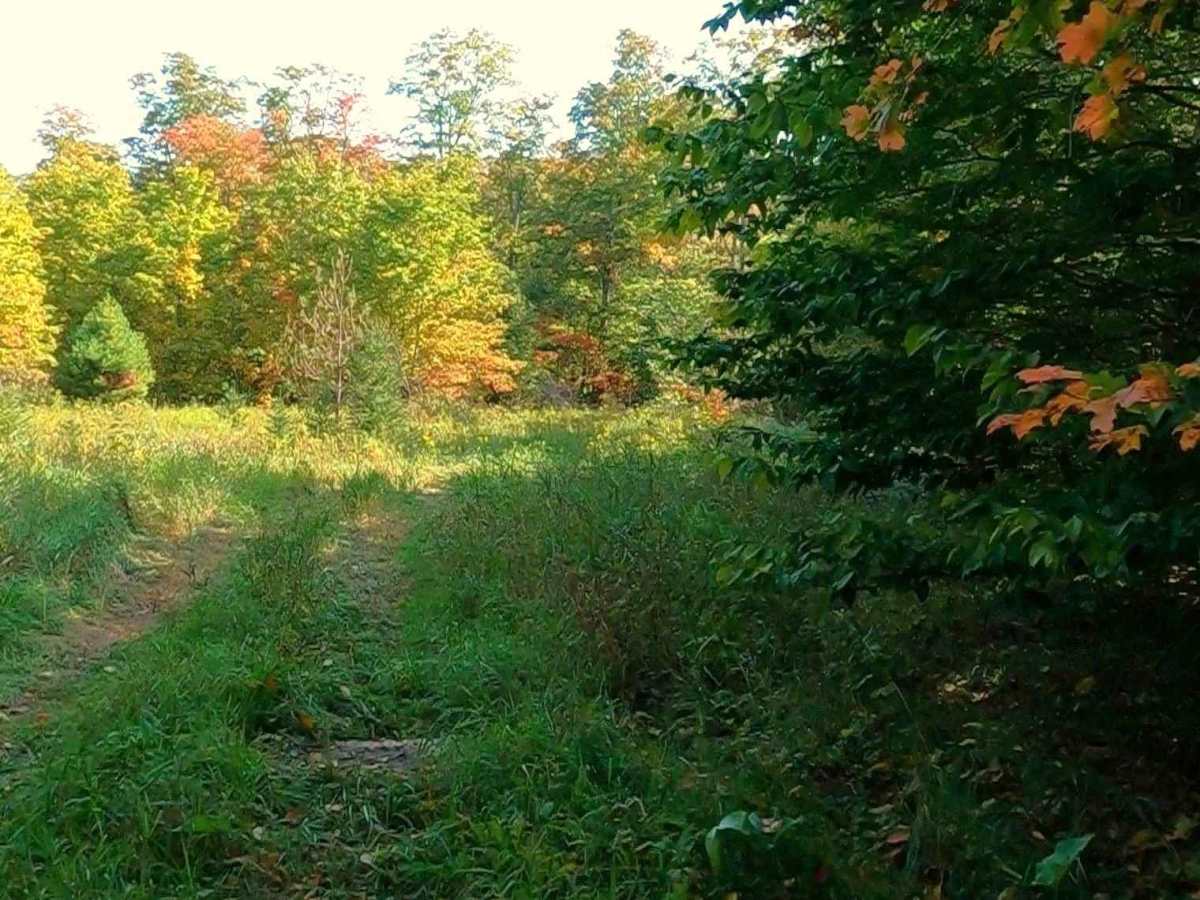 East Loop - FS 3748 photo 5