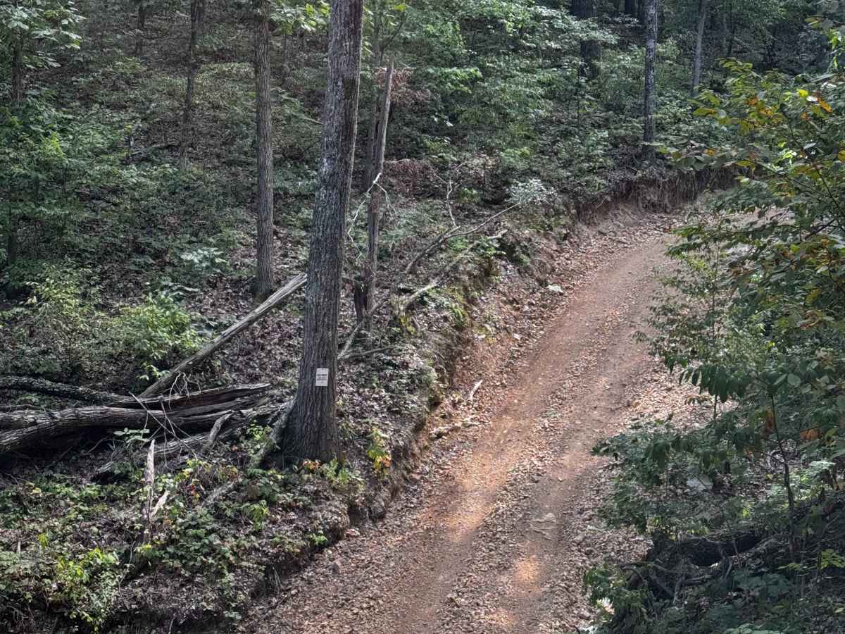 Main Trail  photo 3
