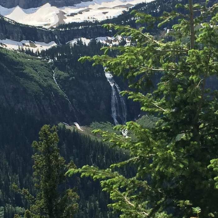 Near The Loop Trail