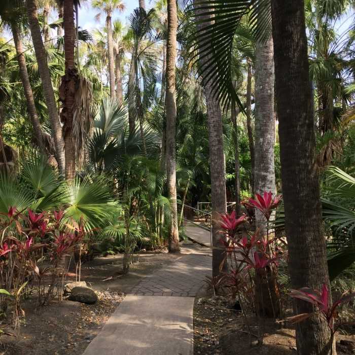 The path north along Dent Smith Trail (just past the stone marker). Near Florida Institute of Technology Botanical Garden