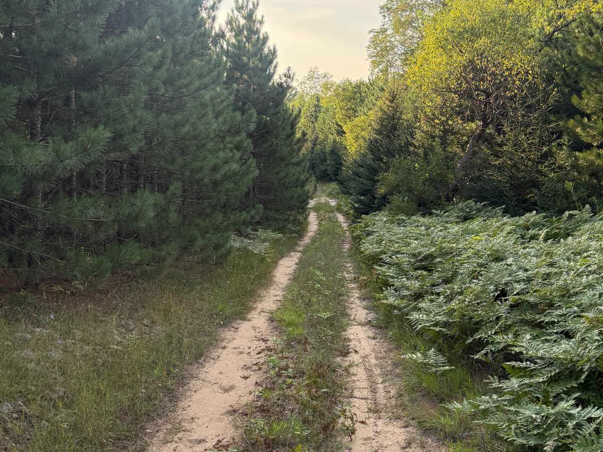 8-3 Powerline Trail trail photo