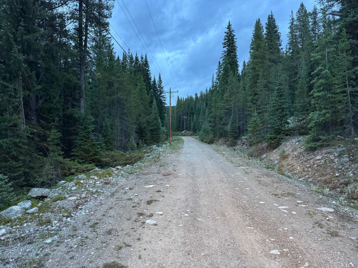 Chapman Gulch Road photo 4