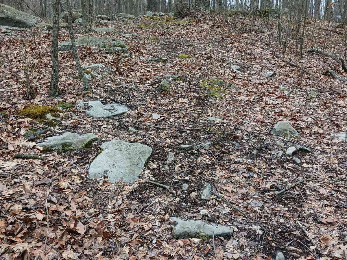 OHV 61 - Rock Run Recreation Area photo 3
