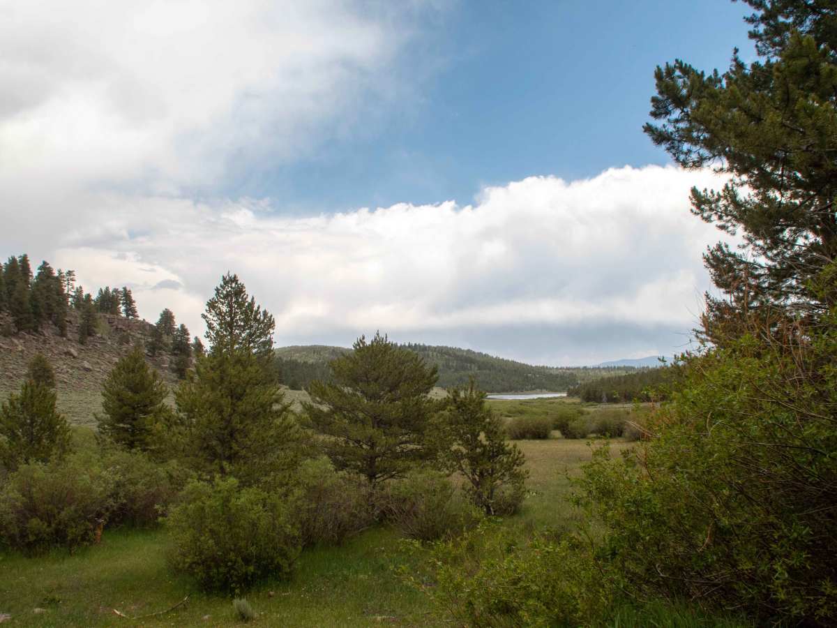 Browne Lake - FS 10096 photo 6