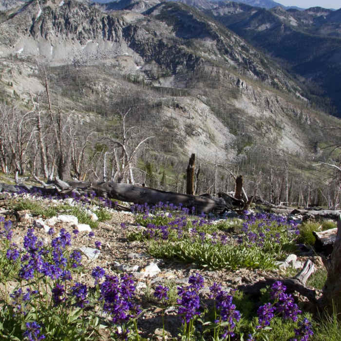 Near Middle Fork of the Boise River, Leggit Lake Near Middle Fork of the Boise River, Leggit Lake