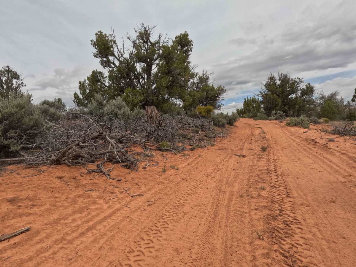 BLM 64X photo 3