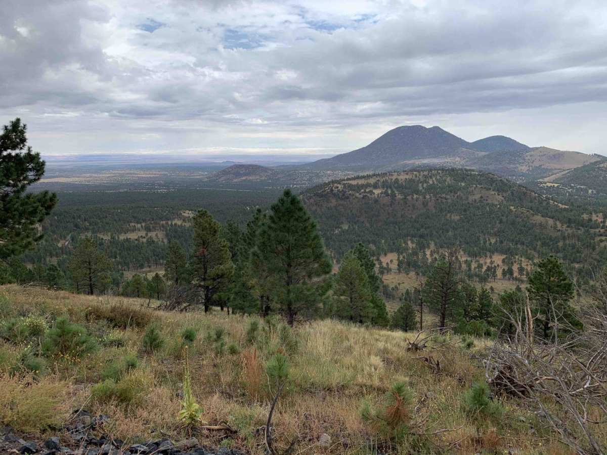 Lockett Meadow Trail photo 2
