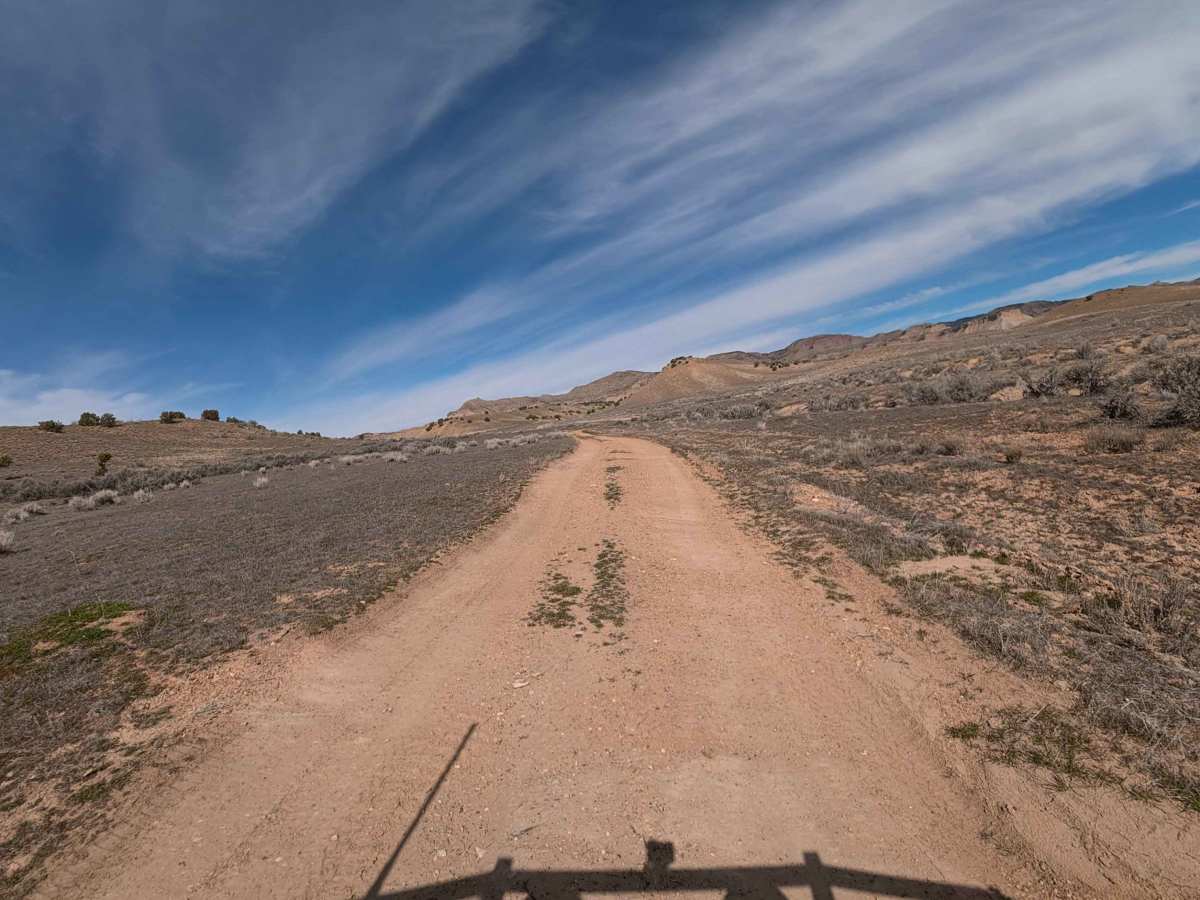 BLM 124 photo 6