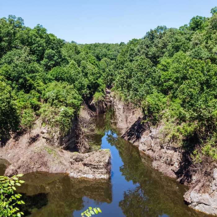 Near Grand Gulf State Park Near Grand Gulf State Park