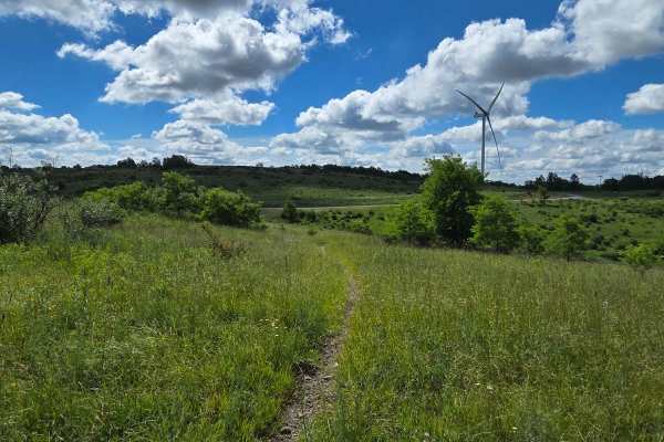 Single Track K