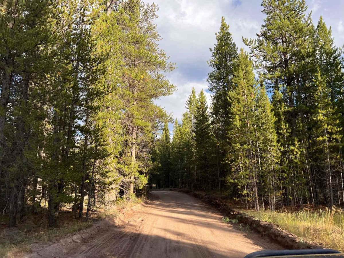 Cougar Cr Park Boundary photo 6
