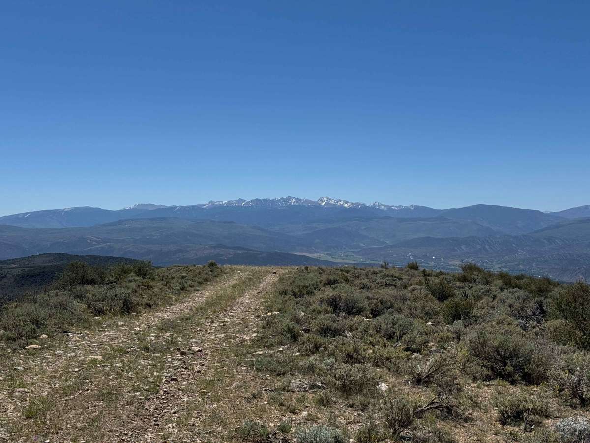 BLM 8484 trail photo